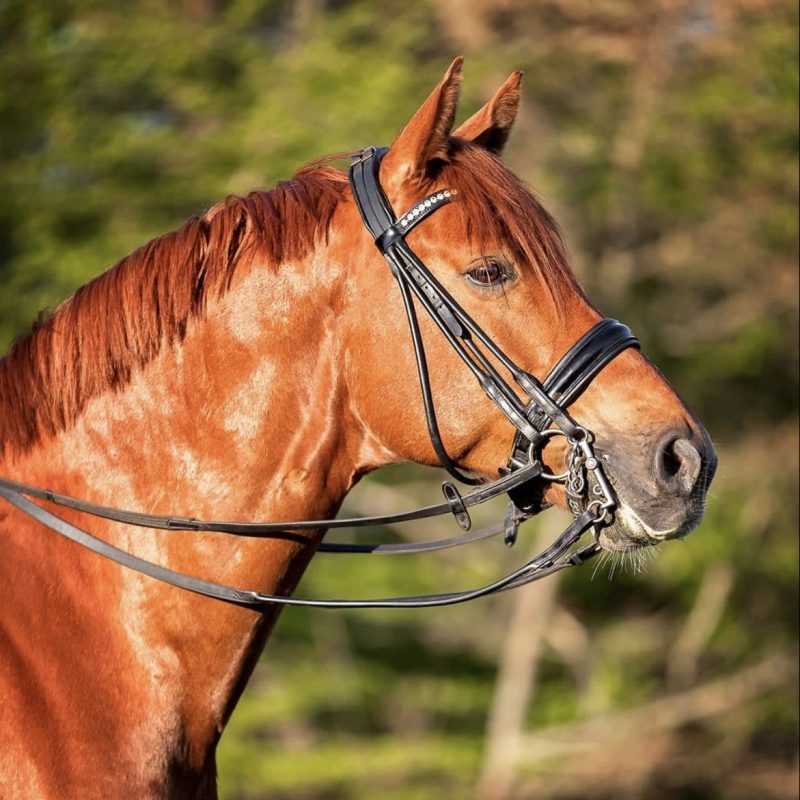 E58359EE-DF38-4312-9A0C-C1E8004C3658_1_102_o